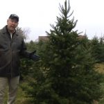Agribusiness Report: Walnut Ridge Tree Farm